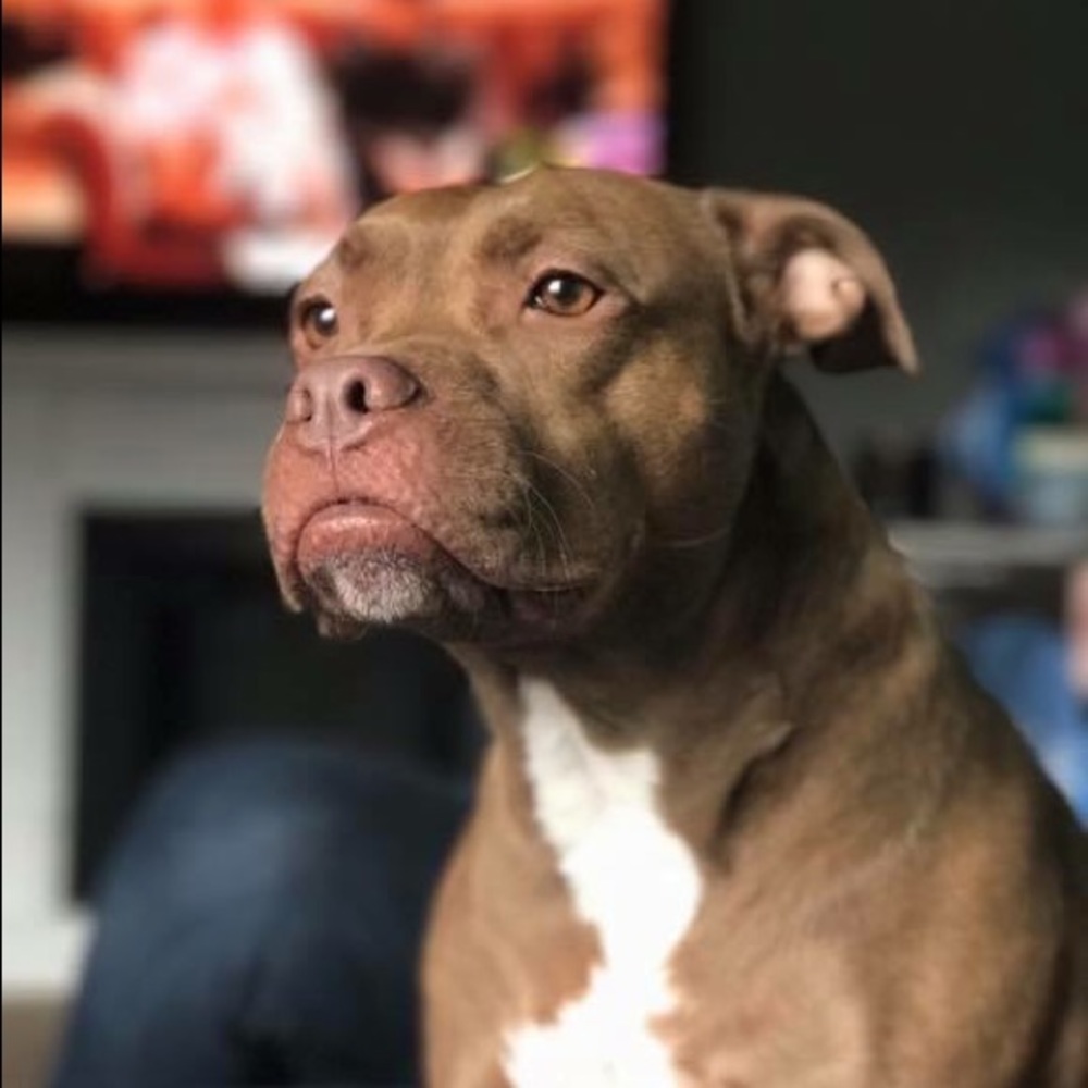 Meet your Posher, Tammy